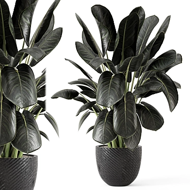 Artisan Stone Pot Indoor Plants 3D model image 1 