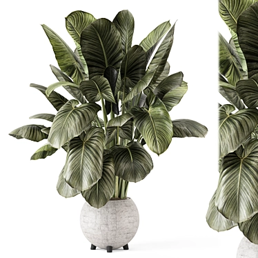  Handmade Stone Pot Indoor Plants 3D model image 1 