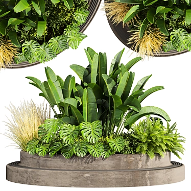 Premium 3D Garden Plant Collection 3D model image 1 