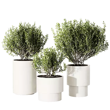 Minimalist Concrete Potted Live Plant 3D model image 1 