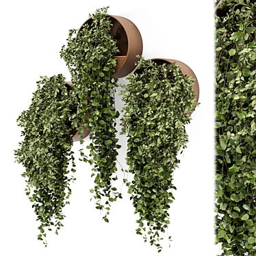 Concrete Pot Hanging Indoor Plants 3D model image 1 