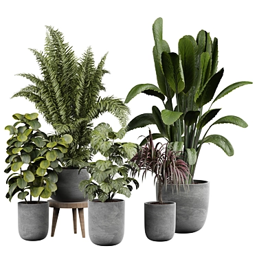 Elegant Indoor Plant 3D Model 3D model image 1 