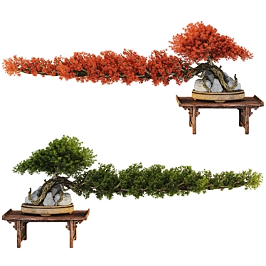 Bonsai Tree Collection 246