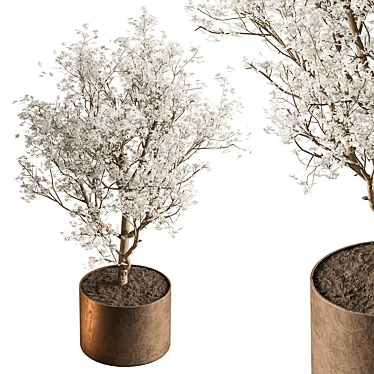 Gorgeous Bonsai Plant 624 3D model image 1 