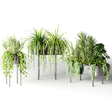  Chromed Planters - Corona 3D model image 1 