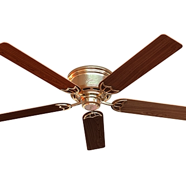 Hunter Ceiling Fan