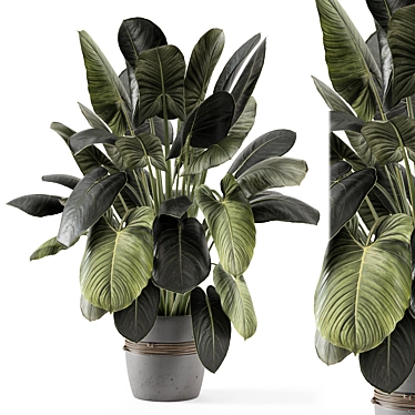 - 3D Indoor Plants in Stone Pot 3D model image 1 