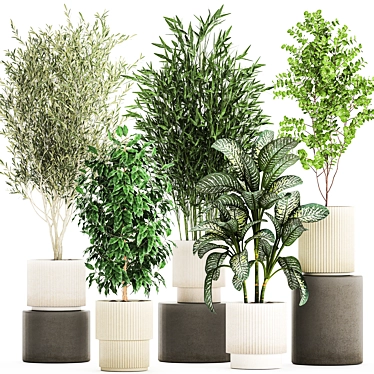 White Pot Collection: Exotic Plants 3D model image 1 