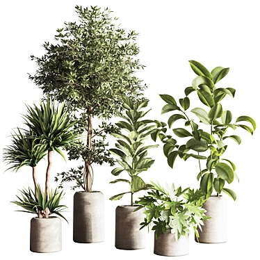 Modern Indoor Plant Set 051 3D model image 1 