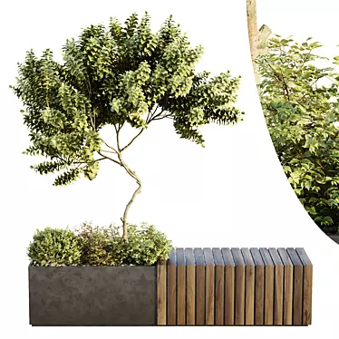 Urban Green Plant Bench Set 3D model image 1 