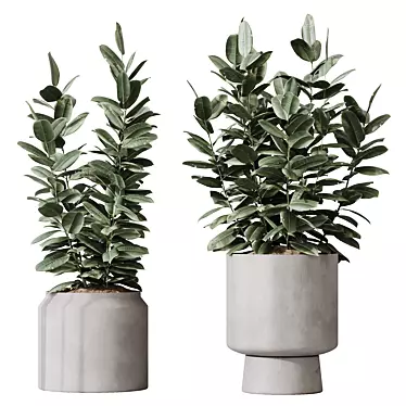 Rubber Ficus Melany 3D Models 3D model image 1 