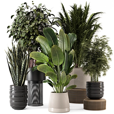 Modern Indoor Plants with Bau Pot - Set 1848 3D model image 1 