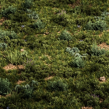 Rectangular Grass Set for Scattering 3D model image 1 