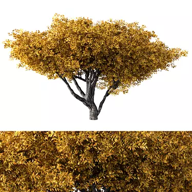 Unique Tree Prop No.60 3D model image 1 