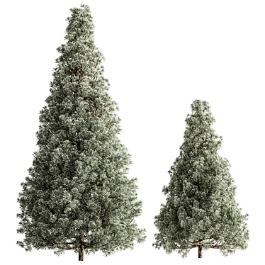 Russian Plum Pines Tree Set 3D model image 1 