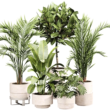 Modern Indoor Plant Set 09 3D model image 1 