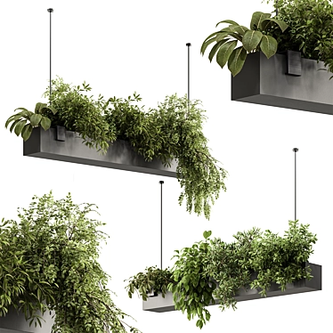  Hanging Plant 636 - Indoor Beauty 3D model image 1 