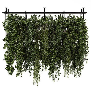 Metal Box Hanging Plants Set 3D model image 1 