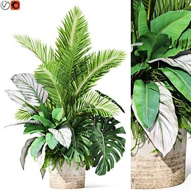 Botanical Assortment 1017 3D model image 1 