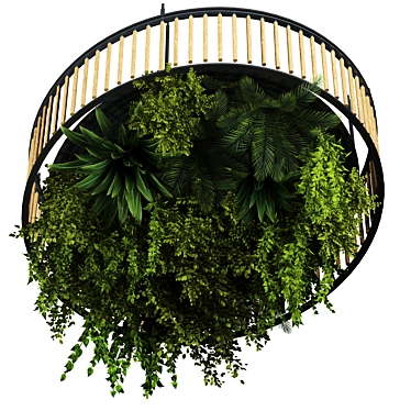 Premium Hanging Indoor Plant Set 3D model image 1 