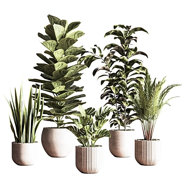 Sleek Indoor Plant Set 3D model image 1 