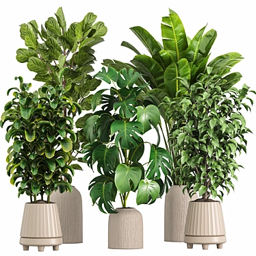 indoor plants set 024