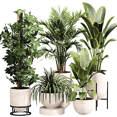 Luxury Indoor Plant Set 013 3D model image 1 