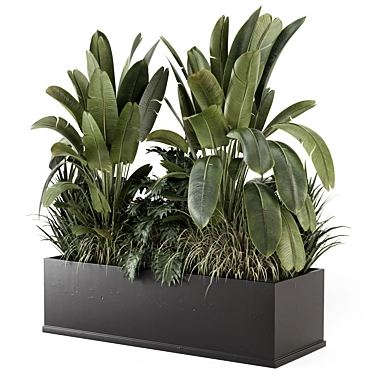 Handmade Black Pot Plants Set 3D model image 1 