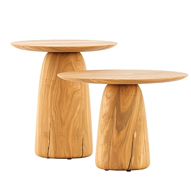 Tribu Dunes Low Tables Set 3D model image 1 