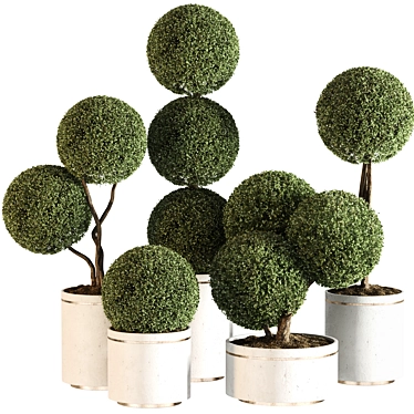 Modern Indoor Plant Set 015 3D model image 1 