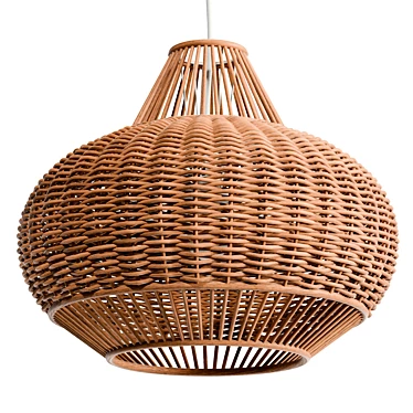 Handwoven Wicker Pendant Lighting 3D model image 1 