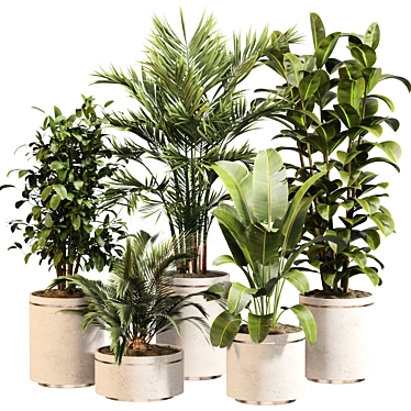 Modern Indoor Plant Set 020 3D model image 1 