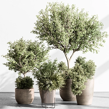 Interior Tree in Pot 3D model image 1 