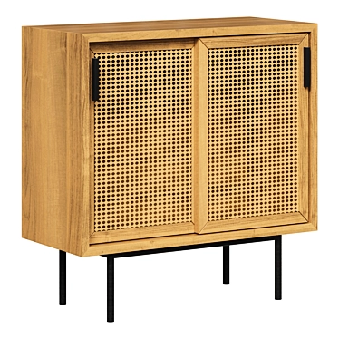 Modern 2-Door WASKA Cabinet 3D model image 1 