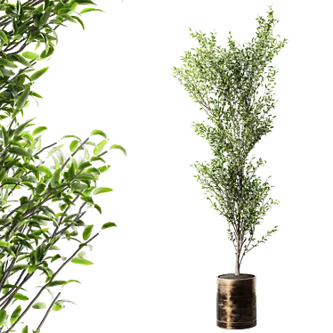 Modern Metal Pot Live Plant 3D model image 1 