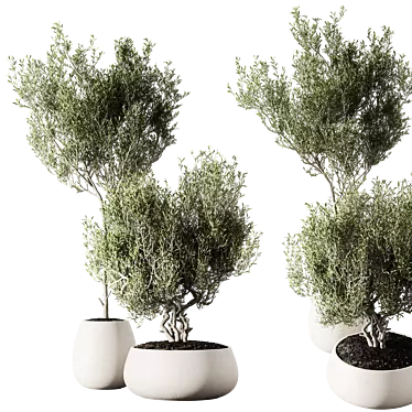 Metal Planter Set with Live Plants 3D model image 1 