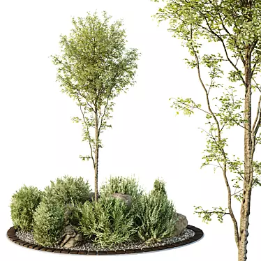 Outdoor HQ Tree Bush Garden Box VOL40 3D model image 1 