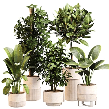 Exquisite Indoor Greenery Set 024 3D model image 1 