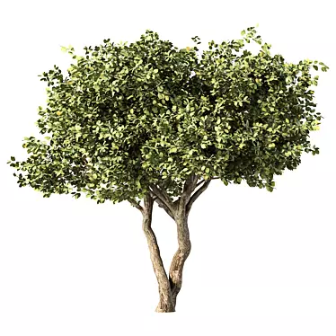 Modern Rustic Tree Sculpture 3D model image 1 