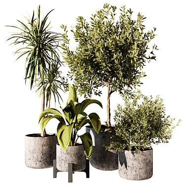 Modern Indoor Plant 3D Model 3D model image 1 