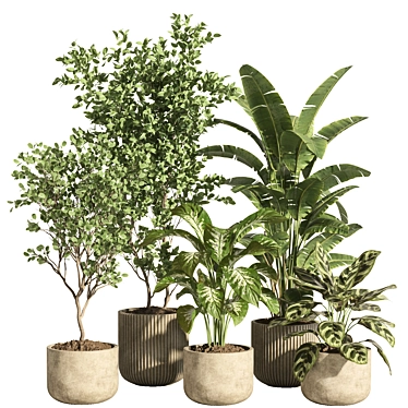 indoor plant set 67-Concrete pot