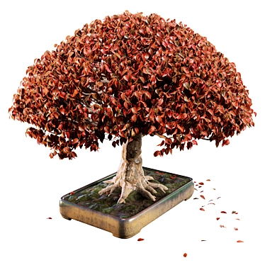 Bonsai 03 | PBR | Midpoly | HQ