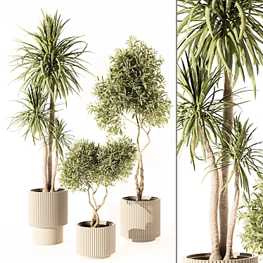 Modern Indoor Plant 3D Model 3D model image 1 