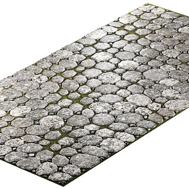 Stone Path 1600x3300 3D model image 1 