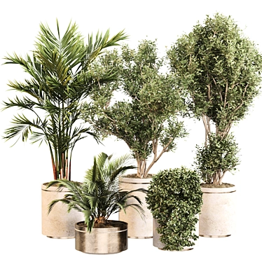 Modern Indoor Plant Set 030 3D model image 1 