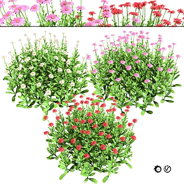 Vibrant 3D Daisy Flower Bush 3D model image 1 