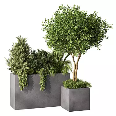 Nature-Inspired Plant Set Ensemble 3D model image 1 