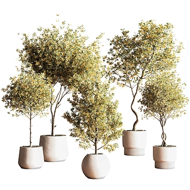 Modern Indoor Plant Set 3D 3D model image 1 