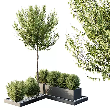 Model Tree Bush Garden Box 3D model image 1 