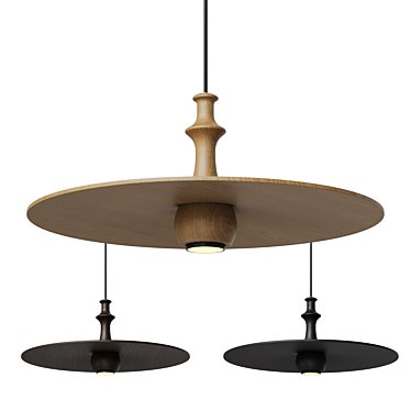 Exquisite Wooden Lamp Collection 3D model image 1 